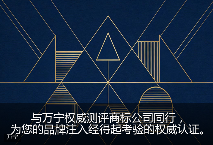 与万宁权威测评商标公司同行，为您的品牌注入经得起考验的权威认证。