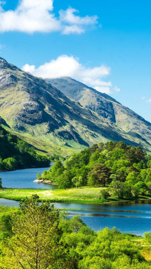 南京酒多少钱  南京n酒多少钱