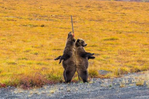 2020年(金融保险)复旦金融历年试题试题