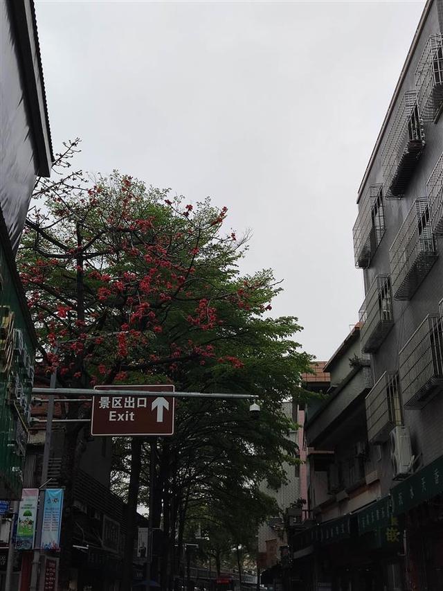 空难后这条玉器街再不见他们身影的简单介绍_行业资讯_第4张_百科参考网 空难后这条玉器街再不见他们身影的简单介绍_https://www.whai.cc_行业资讯_第4张