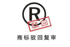 美国商标复审和上诉委员会任命新的副首席法官