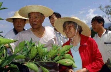 褚时健走了！516266717484……一串数字概括了他的一生