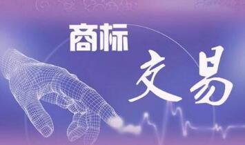 买一个商标需要多长时间