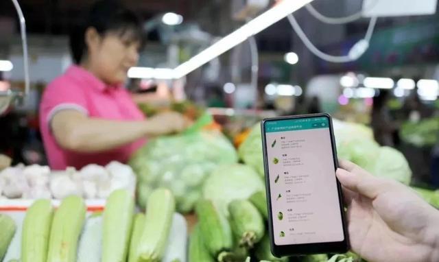 农业品牌的发展之路，从农产品商标注册开始