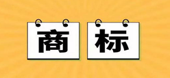 贵州“神康”商标资产成功上市